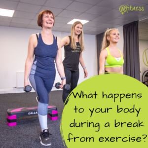 Blog 13 Exercise Break