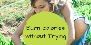 Blog 17 Burn Calories