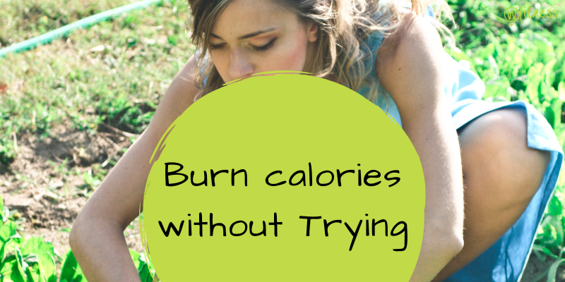 Burn Calories