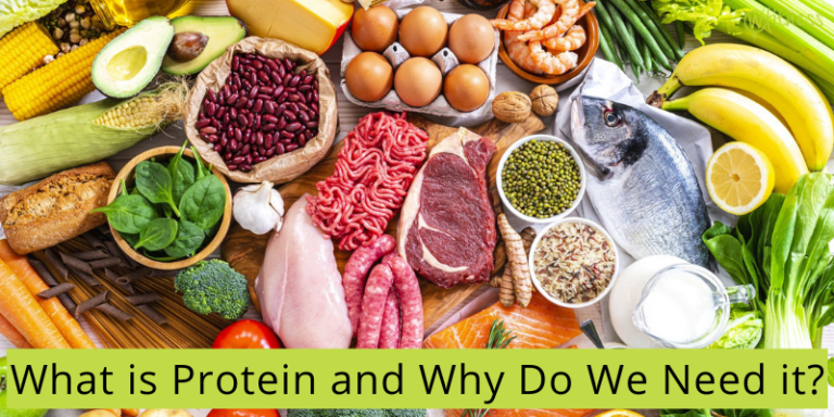 what-is-protein-and-why-do-we-need-it-w-fitness