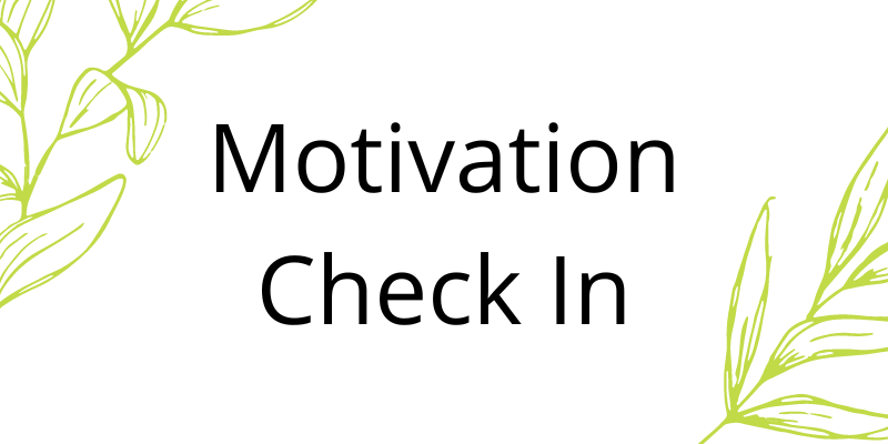 Text: Motivation Check In